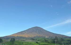 Pegunungan Bukit Barisan