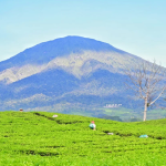 Tempat Wisata di Pagar Alam