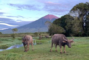 Wisata Alam di Jambi