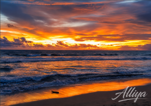 Pantai Aurora