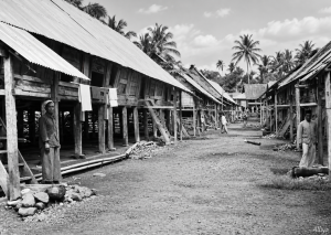 Rumah Larik Kerinci